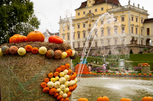 © Gartenschau Ludwigsburg GmbH