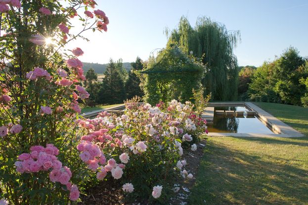 © Landhaus Ettenbühl